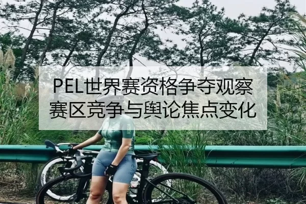 PEL世界赛资格争夺观察 赛区竞争与舆论焦点变化